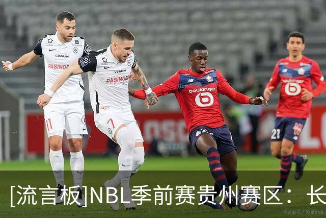 [流言板]NBL季前赛贵州赛区：长沙勇胜&苏科雄狮&贵州猛龙等5队参赛